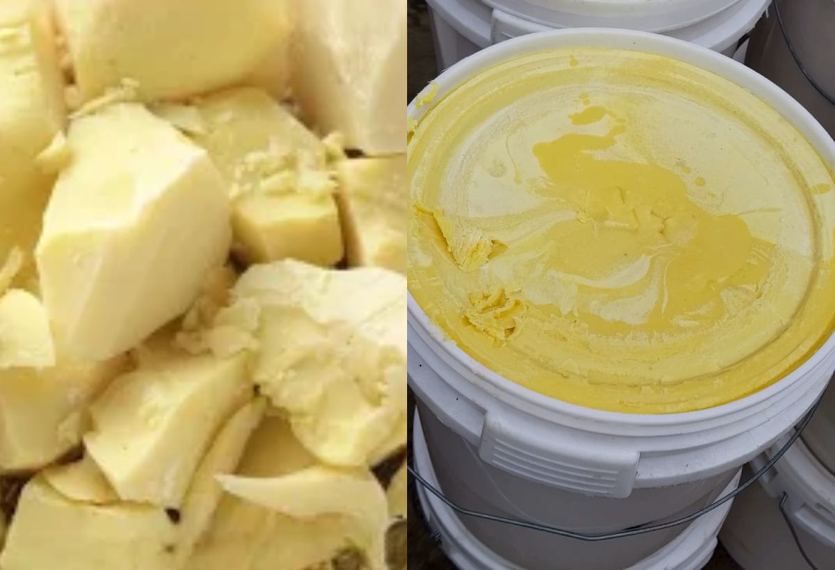 Shea Butter — Slice View
