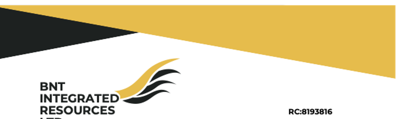 BNT letterhead brand banner